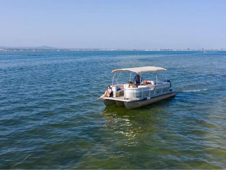 Short Boat Tour in Ria Formosa: If you're in Faro and short on time but still eager to experience the wonders of Ria Formosa, our short boat tour is perfect for you. As one of the 7 Natural Wonders of Portugal, Ria Formosa National Park is a must-see destination. Hop aboard our comfortable catamaran for a one-hour journey that covers the highlights of this incredible natural park.